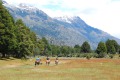 Carretera Austral