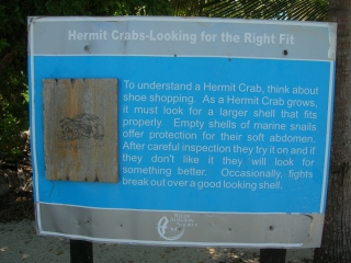 hermit_the_crab